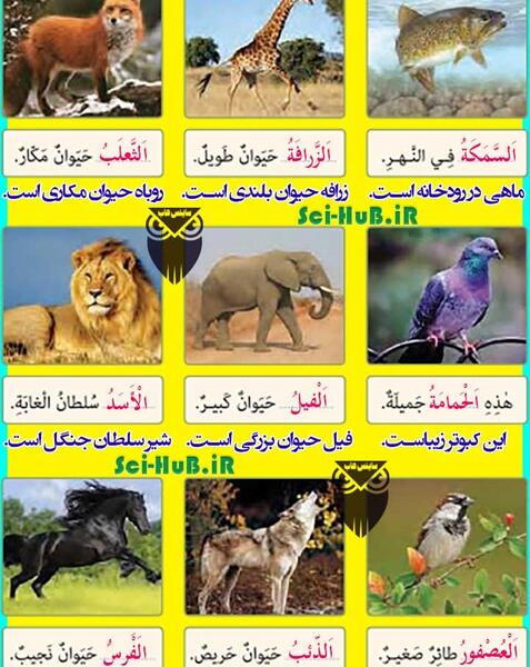 عکس کتاب عربی پایه نهم