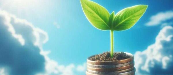 عکس صندوق قرض الحسنه فامیلی