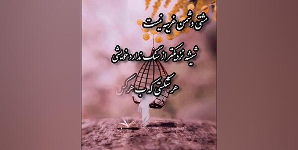 عکس تیکه دار به فامیل