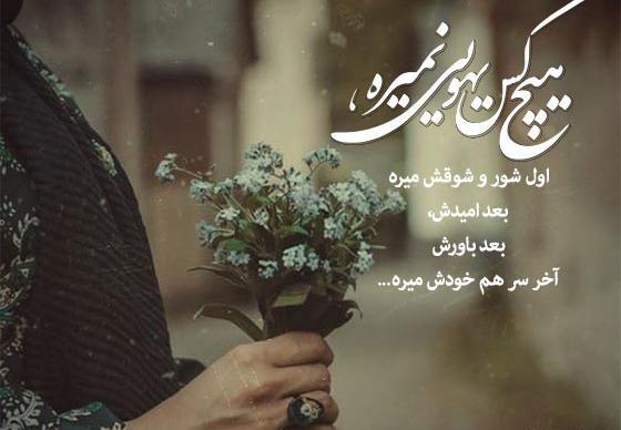 عکس تیکه دار به فامیل شوهر
