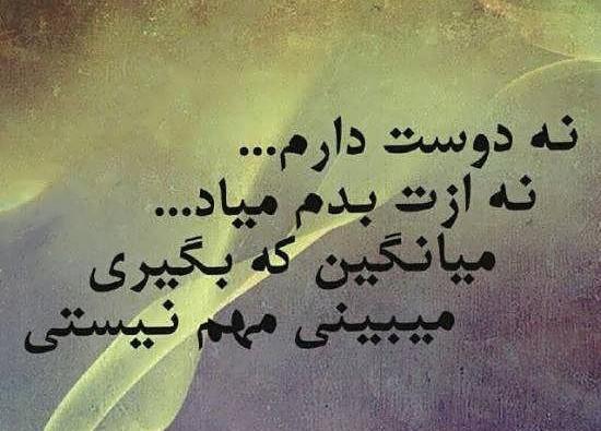 عکس تیکه دار به فامیل شوهر