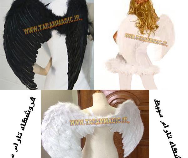 عکس بال فرشته مشکی