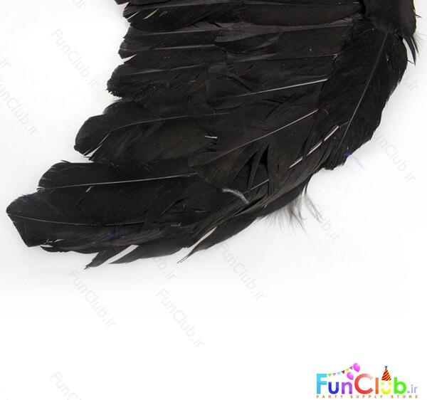 عکس بال فرشته مشکی