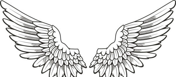 عکس بال فرشته مشکی