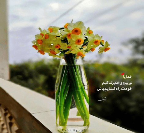 عکس فرشته ی عذاب