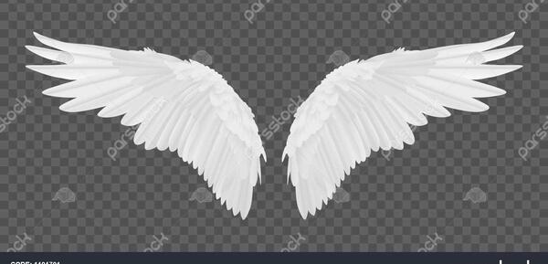 عکس فرشته بدون بال