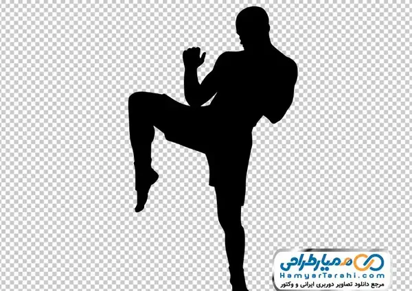 عکس کیک بوکسینگ کار