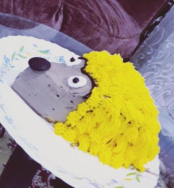 عکس کیک جوجه تیغی