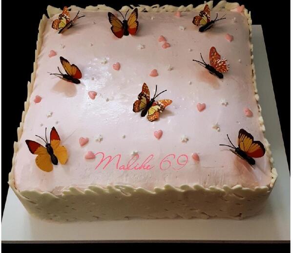 عکس کیک حشره ای