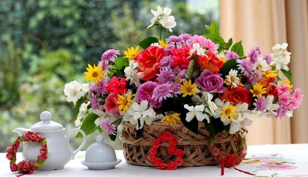 عکس از گل های زیبا و رنگارنگ