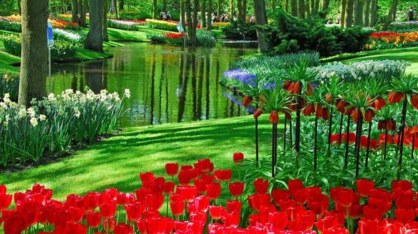 عکس های زیبا از گل ها و طبیعت