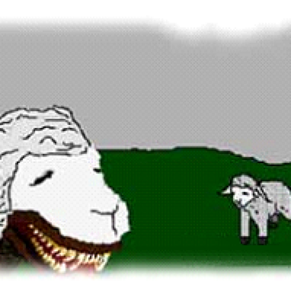 عکس گرگ در لباس بره