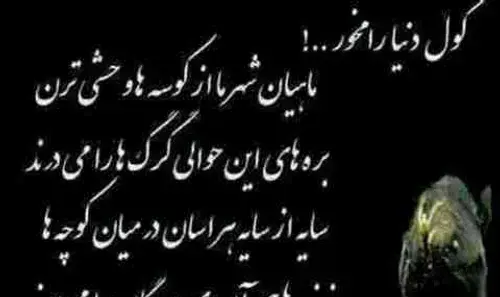 عکس گرگ در لباس بره