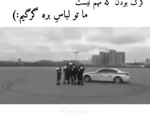 عکس گرگ در لباس بره