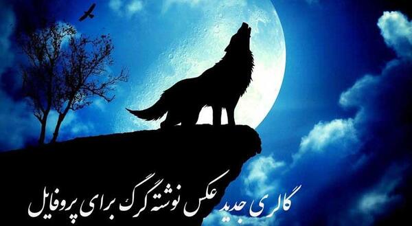 عکس پروفایل گرگ نوشته دار