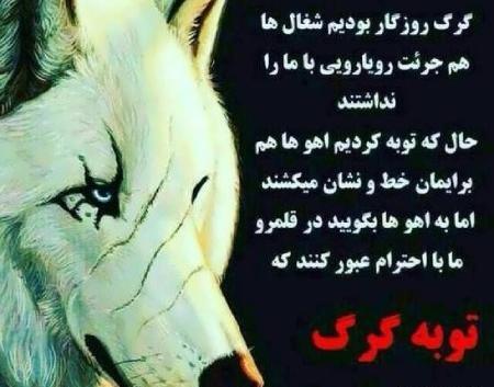 عکس پروفایل گرگ نوشته دار