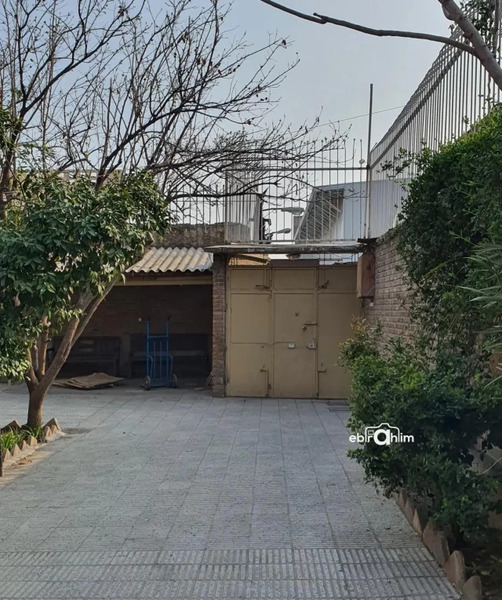عکس گرگ و میش واقعی