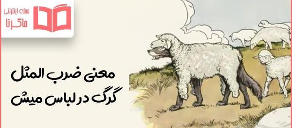 عکس گرگ روی لباس