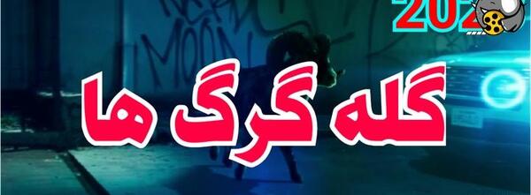 عکس گله گرگ ها