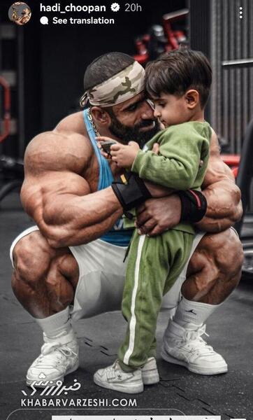 عکس گرگ ایرانی هادی چوپان