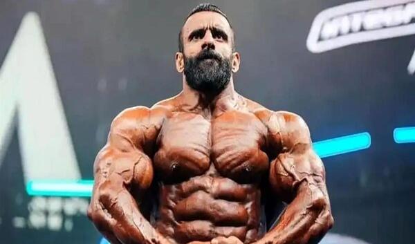 عکس گرگ ایرانی هادی چوپان