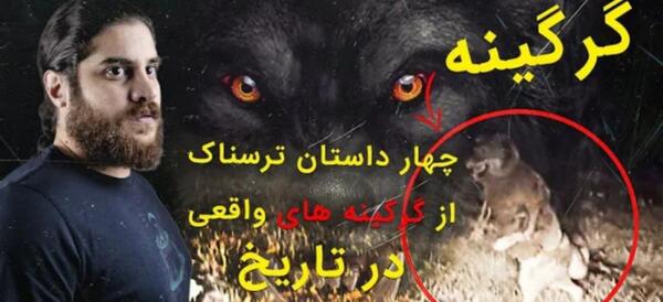 عکس گرگینه ی واقعی در ایران