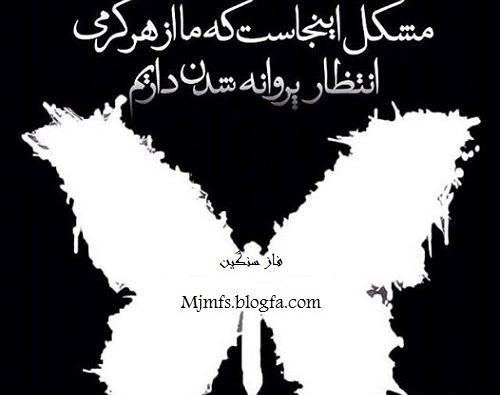 فاز سنگين عکس گرگ با متن سنگین