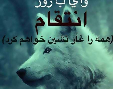 عکس گرگ با متن زیبا
