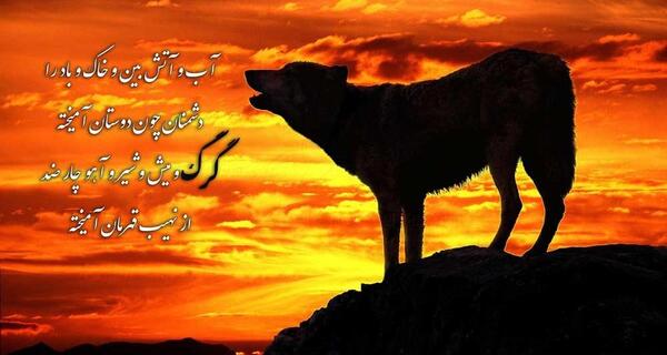 عکس گرگ با متن خفن