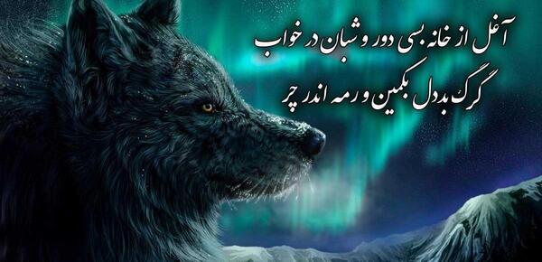 عکس گرگ با متن برای پروفایل