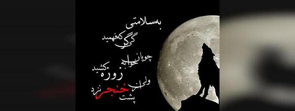 عکس گرگ با متن برای پروفایل