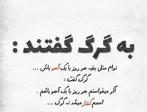 عکس گرگ با متن برای پروفایل