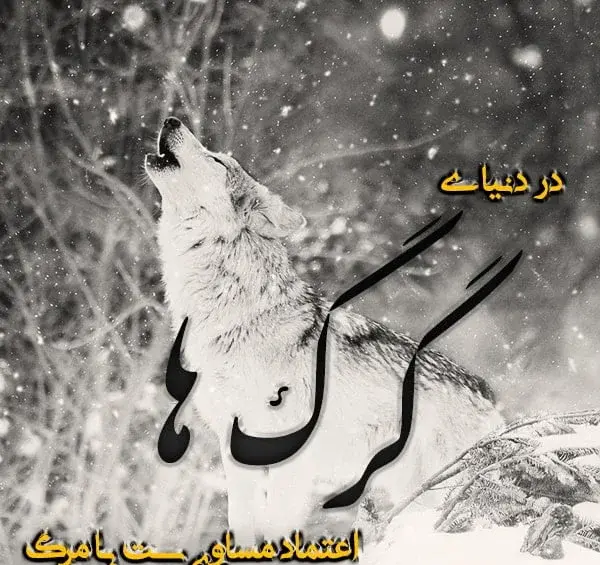 عکس گرگ با متن برای پروفایل
