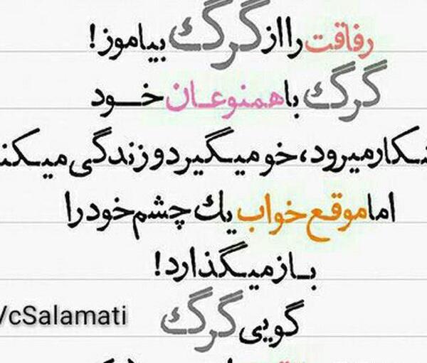 عکس گرگ با متن برای پروفایل