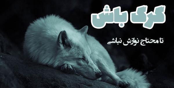 عکس پروفایل گرگ با متن