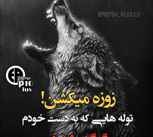 تیکه فاز سنگين عکس گرگ با متن سنگین