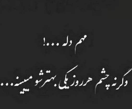 تیکه فاز سنگين عکس گرگ با متن سنگین