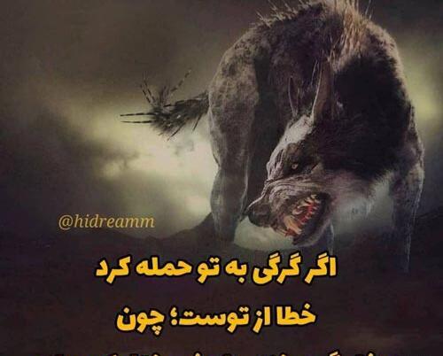 تیکه فاز سنگين عکس گرگ با متن سنگین