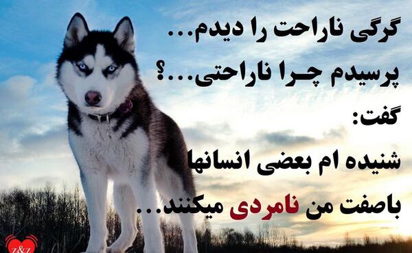 عکس گرگ انسانی