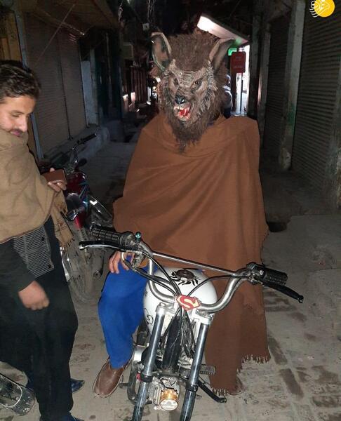 عکس گرگ آدمیزاد