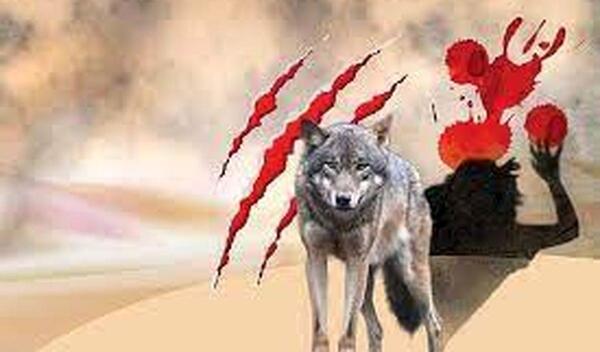 عکس گرگ که بدن انسان دارد