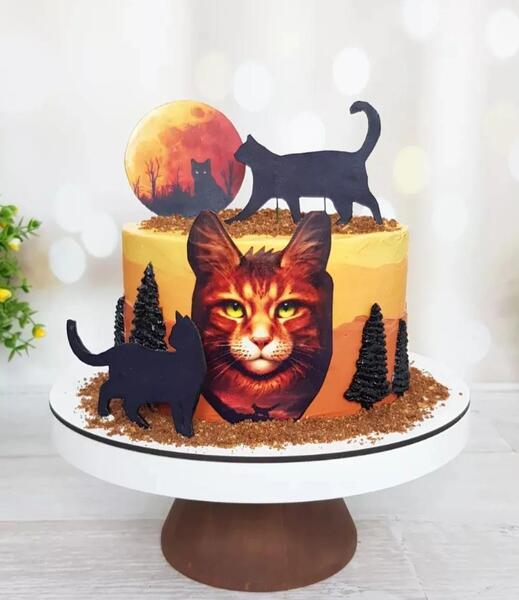 عکس کیک گربه ای دخترانه