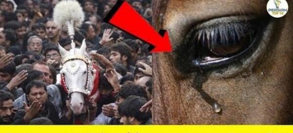 عکس گریه بر امام حسین