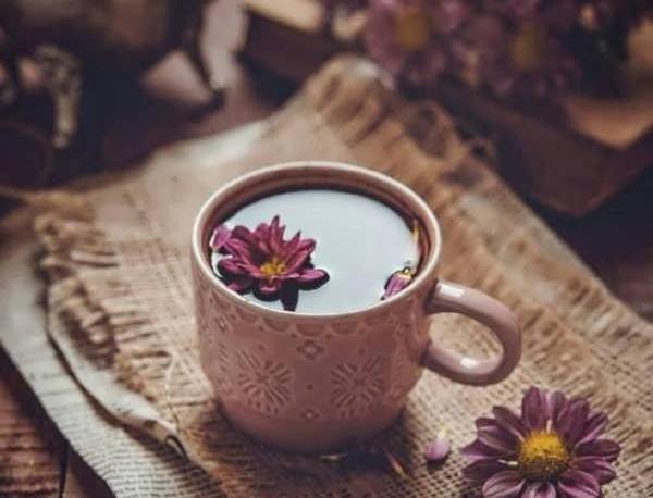 عکس کتاب با گل برای پروفایل