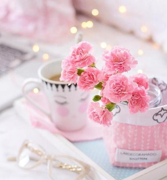 عکس کتاب با گل برای پروفایل