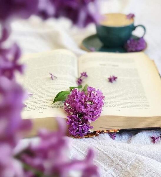 عکس کتاب با گل برای پروفایل