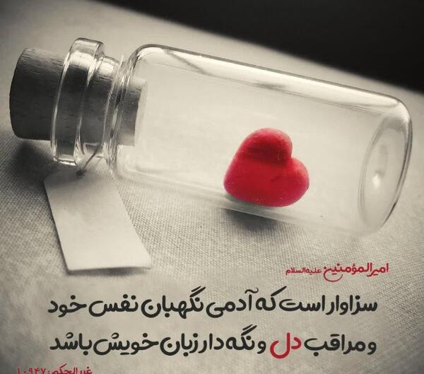 عکس کتاب قهرمان غدیر