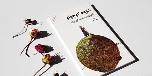 عکس کتاب داستان شاهزاده کوچولو