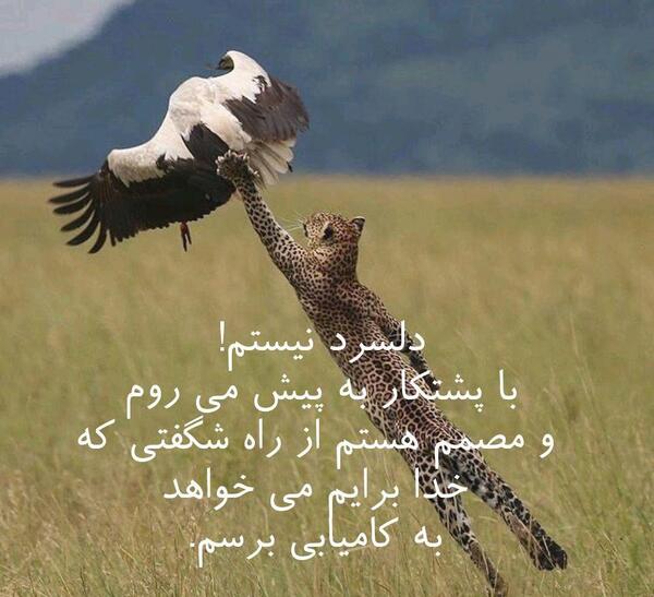 عکس کتاب چهار اثر فلورانس اسکاول شین