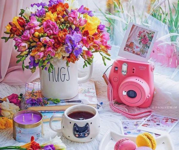 عکس کتاب برای پروفایل دخترونه صورتی